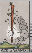 权杖牌组--权杖王牌 Ace of Wands