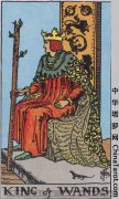 权杖牌组--权杖国王 King of Wands