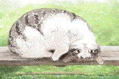 胸前有颗红痣算命_财有财无早知道!六爻算命之财运篇