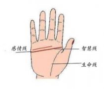 常州算命很准的大师_智慧线分叉代表什么