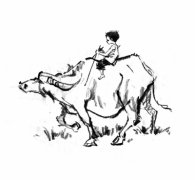 1985年7月出生的人性格如何，婚姻配对详解！