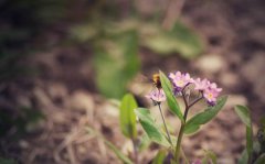 季欣麟微星座一周运势（2.27-3.5）