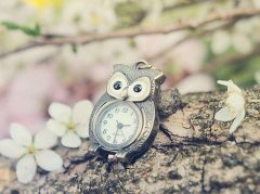 艾薇一周星座运势（2.26-3.4）