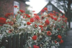 玛法达2017年金牛座运势