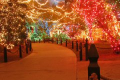 玛法达2017年十二星座运势