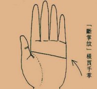 免费取名_什么是断掌