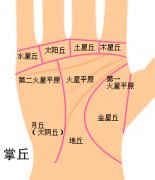 报生辰八字算命准吧_手相八大丘怎么看