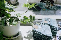 属猪的人本周运势(2017年11月1日-11月7日)