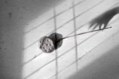 眼皮跳算命_好命女出生时辰 福寿绵长 富贵嫁好夫