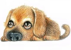 知正堂2016年属狗的人运势