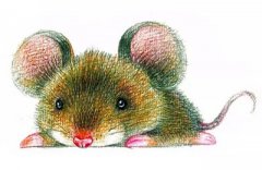 艾菲尔2016运势【生肖鼠】福禄桃花