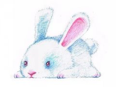 知正堂2016年属兔的人运势