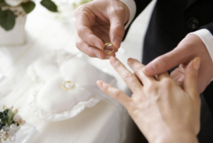 12生肖2017年的催婚大法