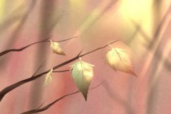 临海大桥头白人算命馆_如何应对紫微十四主星熊孩子