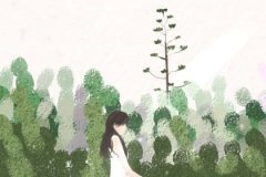 姓名算命特准的网站_单眼皮的人一样可以美出天际！