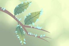 易经大师算命_为啥聪明的人大多是瘦子