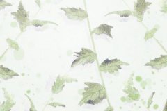 寻求八字算命高人_三命通会：乙卯日不同时辰生人的命运解析