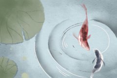 杭州那里有算命的_伤官旺的男命花心吗？伤官男人不适合谈恋爱？