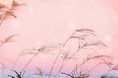 许愿树许愿三藏算命_夫妻五行相克会有什么后果，要怎么化解