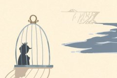 扔硬币算命准吗_七政四余的命宫与上升星座详解，二者的关系