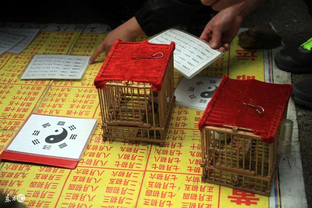 八字运势：在己巳日出生的人命运好不好?