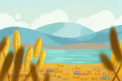 台湾免费算命姓名_妊娠线看生男生女，准确率满满哦！