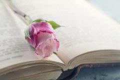 苏珊米勒每日星座运势2.13