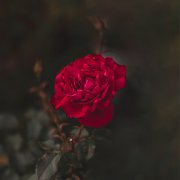 出乎意料！开扒对感情占有欲较强的星座男