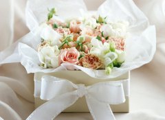 求爱！十二星座的较佳时间