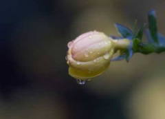 2020年4月19日谷雨当天不宜理发吗,谷雨是什么意思？