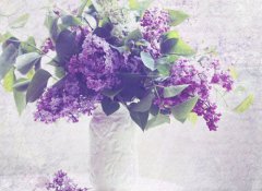 12星座的爱情预知力如何呀