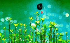 清明节是阳历还是阴历？清明节为什么要插柳？