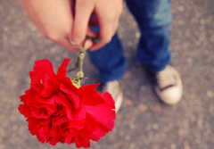 12星座为挽回伴侣做的傻事