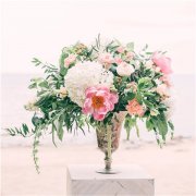 有缘无分！12星座较不该爱上谁？