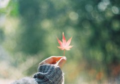 爱一个人会变得卑微的星座女