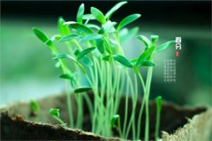 2020年春分节气装修房子好不好,春分3月20日吉时查询！