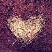 太傻了，一谈恋爱就盲目付出的星座