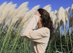 2019年不想谈情，只想暴富的星座