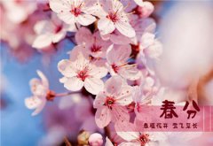 2020年二月二十七春分搬家安床吉利吗,春分是什么意思？