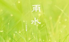 2020年今日雨水出生鼠宝宝是喜火命吗,雨水出生什么星座？