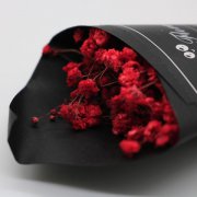 只想睡你一个人~盘点那些恋爱超真心的星座