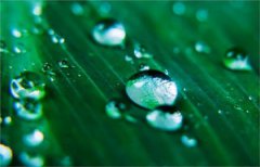 2020年2月19日雨水节气宜出行吗,关于雨水节气谚语解析！