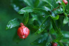 2020年二月十四出生女孩命运好不好,是大富大贵命局吗？