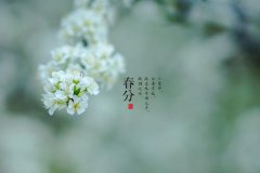 阳历3月春分日（19—22）结婚怎么样，结婚择吉日！