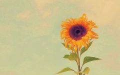 2020年正月二十三日子是吉是凶，属于吉日好日子吗？