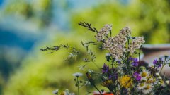 农历2020年正月二十七是几月几号，属于吉日吗？