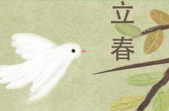 2020年立春后一天正月十二(2月5日)出生女孩是喜火命吗？