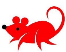 2020年正月初三结婚好不好,正月初三为什么叫“赤狗日”？