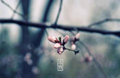 2020鼠年正月十一立春节气适合祈福吗？