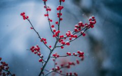 2020年腊月二十一是几月几号？这天有哪些时间是吉时？